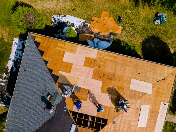 Best Metal Roofing Contractor  in Wilder, ID