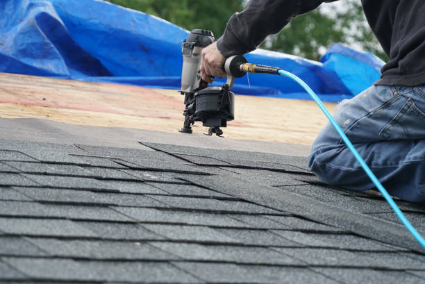 Best Roof Gutter Cleaning  in Wilder, ID