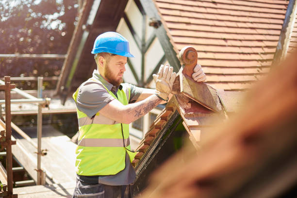 Best Flat Roof Repair Services  in Wilder, ID