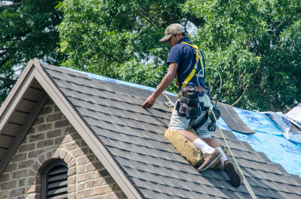 Best Roof Maintenance Services  in Wilder, ID